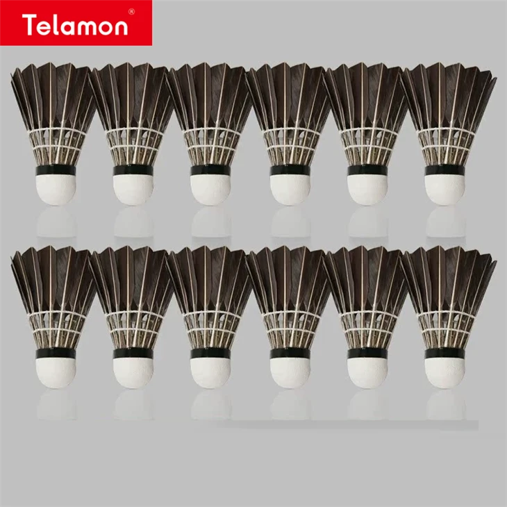 Badminton Speed suppliers