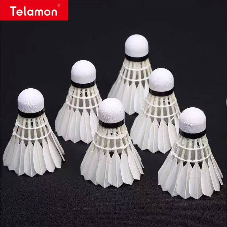Badminton Speed high quality